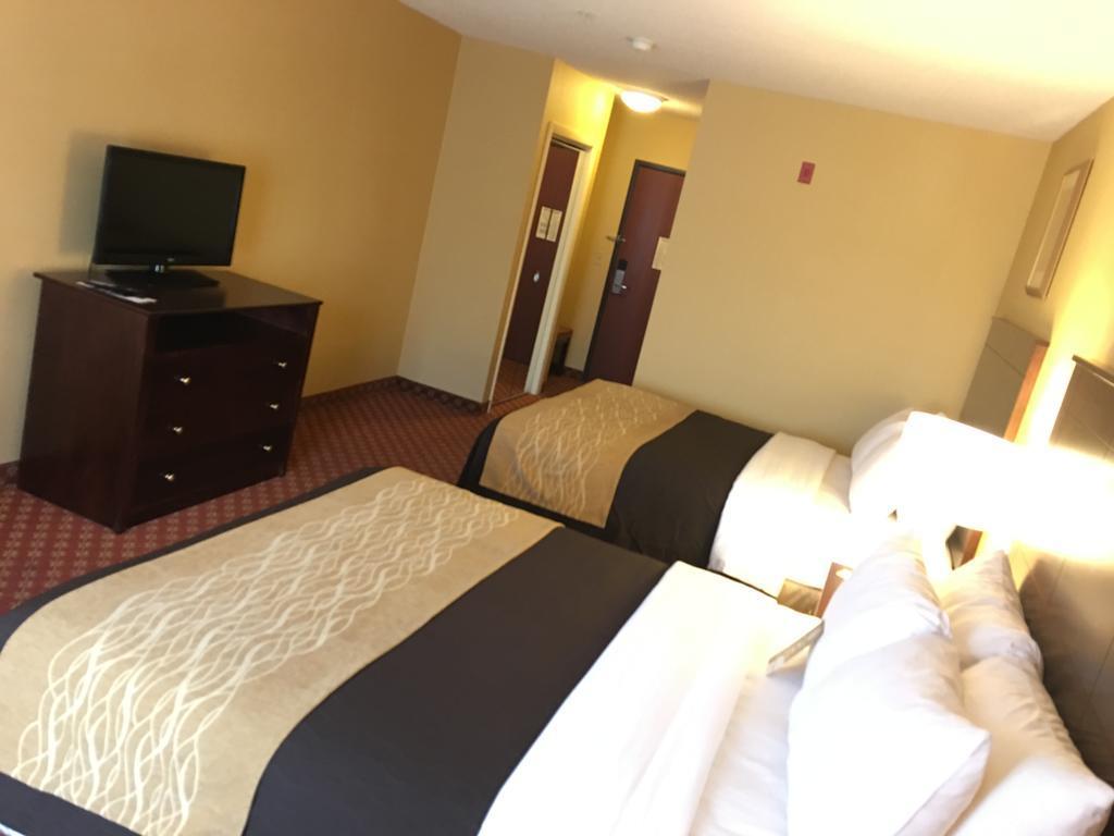 Comfort Inn Naugatuck-Shelton, Ct Exterior photo