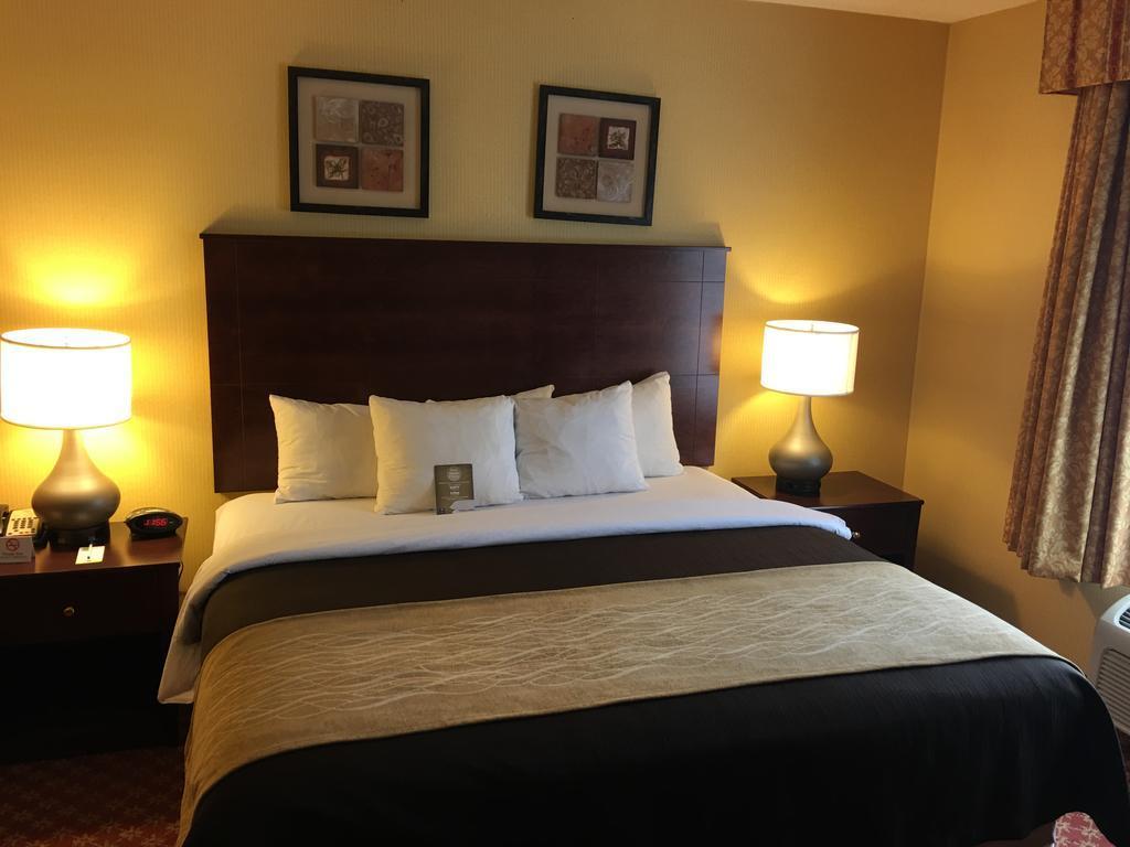 Comfort Inn Naugatuck-Shelton, Ct Exterior photo